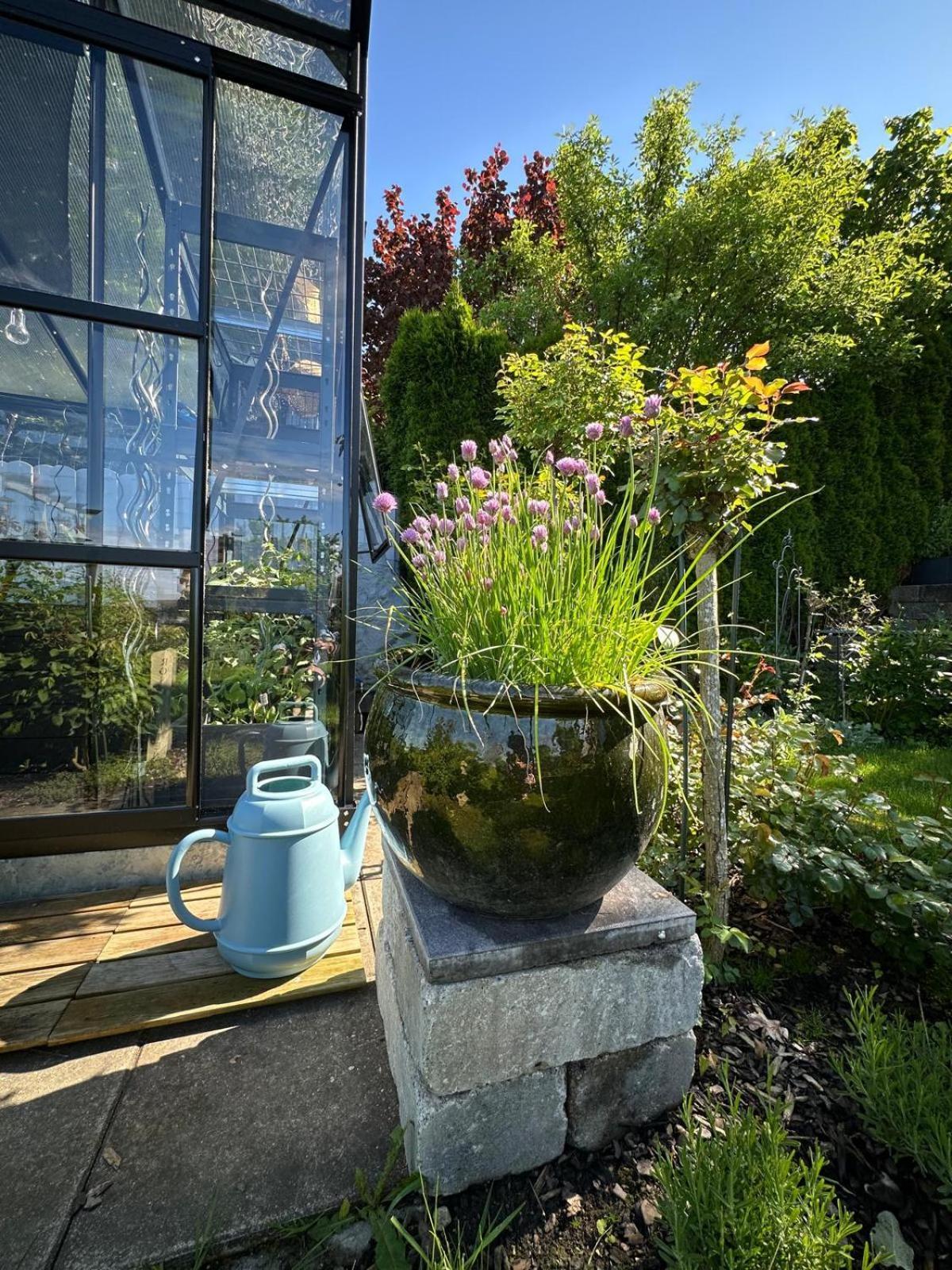 Das Blaue Haus - Ein Sommertraum Und Ein Wintermaerchen Weiler-Simmerberg Exterior foto